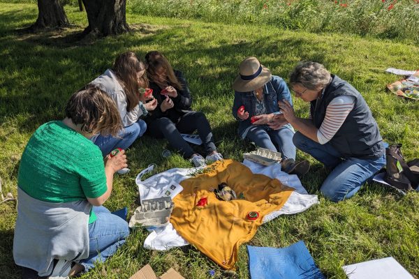 Workshop für Erwachsene, um Kindern die Natur näherzubringen