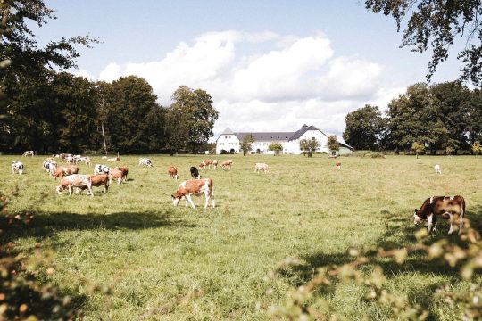 Gut Eidt in Wallerode