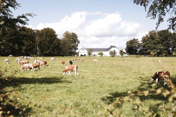 Gut Eidt in Wallerode