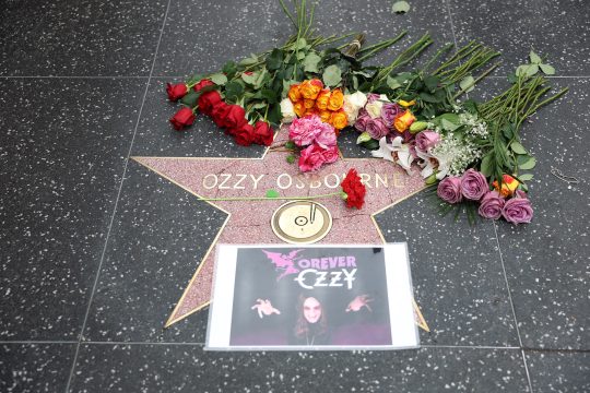 Blumen an Ozzy Osbournes Stern auf dem Walk of Fame in Hollowood