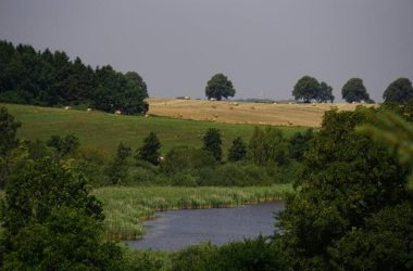 2025 Aussicht auf den See