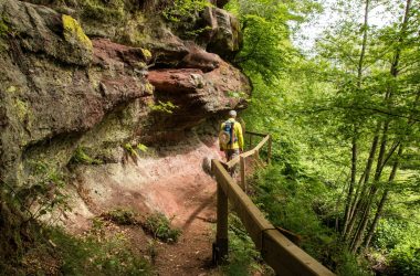 Moselwanderweg
