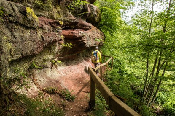 Moselwanderweg