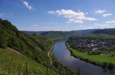 Blick auf die Mosel