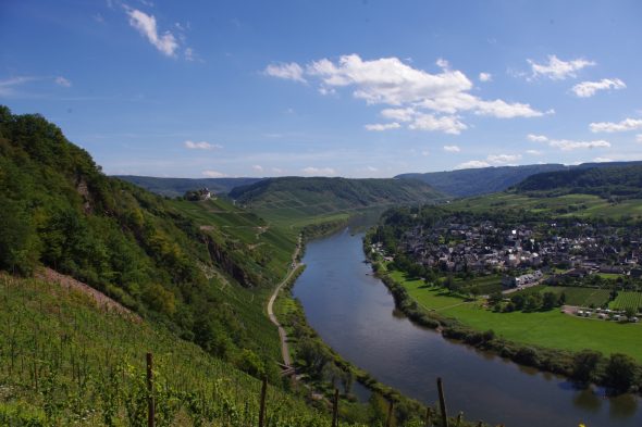 Blick auf die Mosel