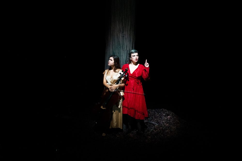 Birds on a Wire: Dom La Nena und Rosemary Standley