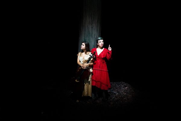 Birds on a Wire: Dom La Nena und Rosemary Standley