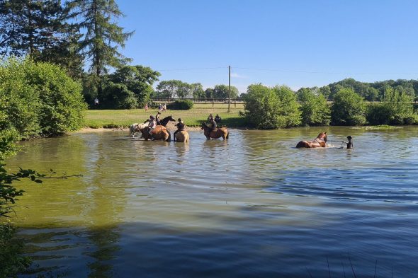 2025_011-20220174203_67800525e4