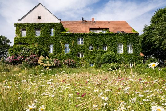 Außenansicht mit Blumenwiese