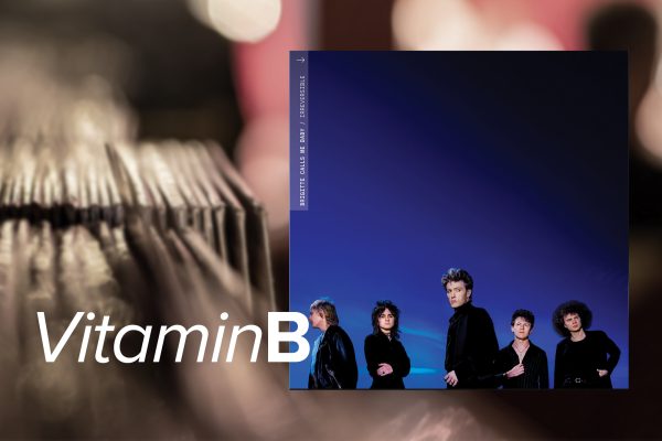 "Irreversible" von Brigitte Calls Me Baby (Label: ATO Records)