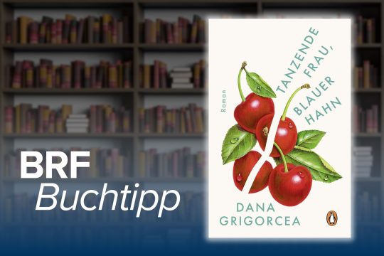 Buchcover zum Buchtipp: "Tanzende Frau, Blauer Hahn" von Dana Grigorcea