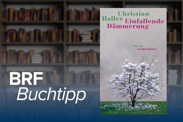 Buchcover zum Buchtipp: "Einfallende Dämmerung" von Christian Haller