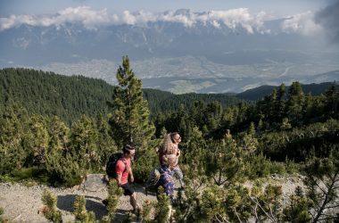Zirben Tirol Zirbenweg Wandern