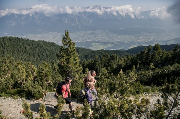 Zirben Tirol Zirbenweg Wandern