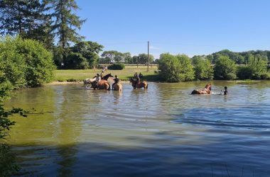 2026 mit Pferden am Wasser_011-20220174203_67800525e4