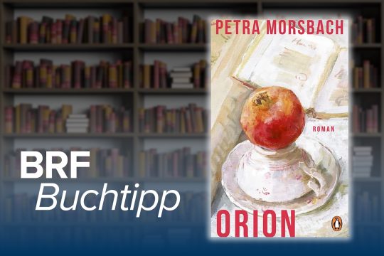 Buchcover zu "Orion" von Petra Morsbach