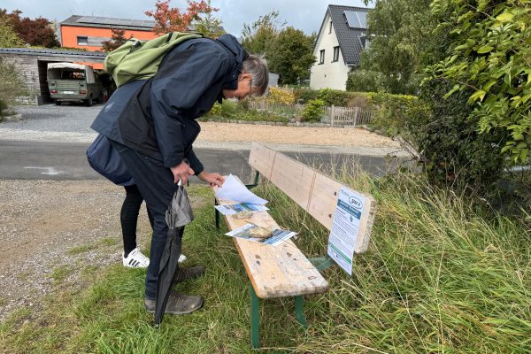 BankHocken in Raeren 2025: an manchen Stellen werden Gesteinsadern sichtbar