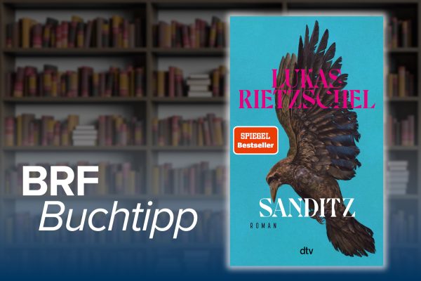 Buchcover zu "Sanditz" von Lukas Rietzschel