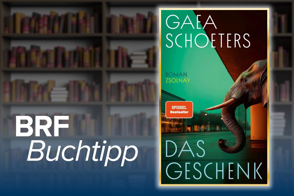 Buchcover des Romans "Das Geschenk" von Gaea Schoeters
