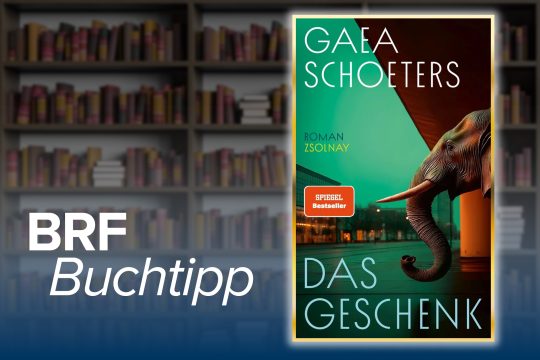 Buchcover des Romans "Das Geschenk" von Gaea Schoeters