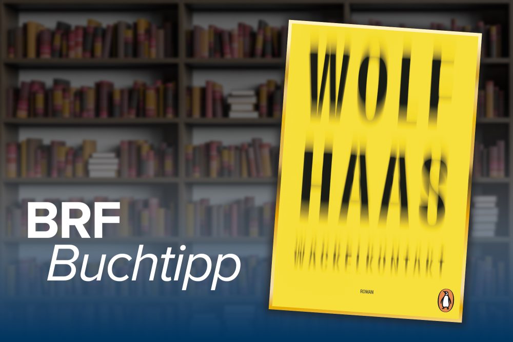 Cover des Buchs "Wackelkontakt" von Wolf Haas: