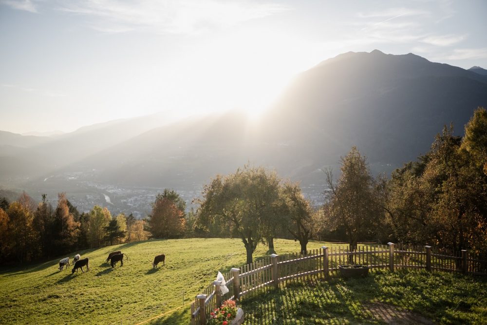 Aussicht auf das Tal in Brixen